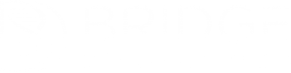 Bridge Diagnostics Logo